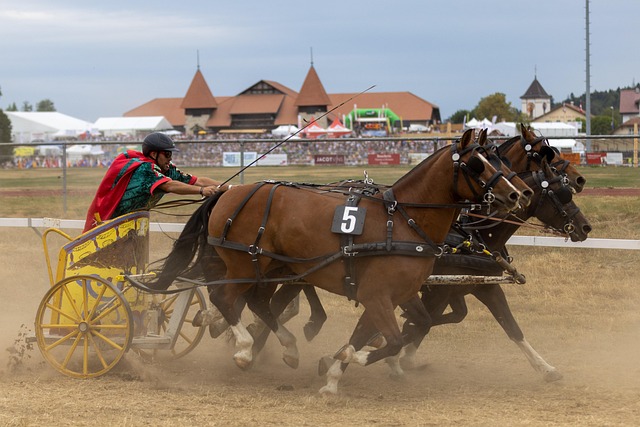 诺丁汉森林 诺丁汉森林