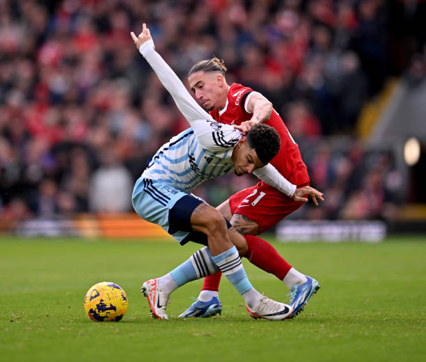 逐渐成为这 逐渐成为这