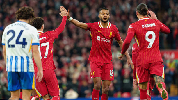 张雨霏的未 张雨霏的未