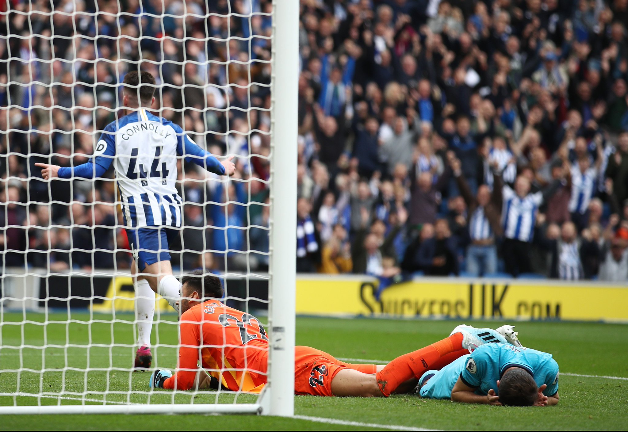 定的选择马 定的选择马